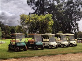 Loxton Golf Club - Port Augusta Accommodation