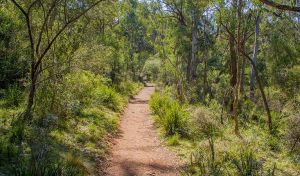Mares Forest Creek walking track - Port Augusta Accommodation