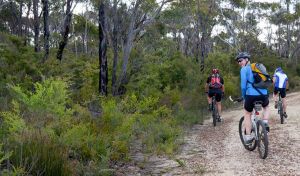 McMahon's Point ride - Wentworth Falls - Port Augusta Accommodation