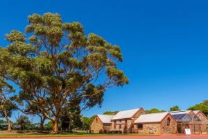 McLaren Vale and Glenelg Wine Tasting and Sightseeing Half-day Afternoon - Port Augusta Accommodation