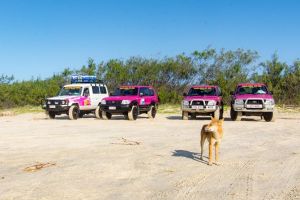 3 Day 4wd Tagalong Tour - Fraser Island - Port Augusta Accommodation